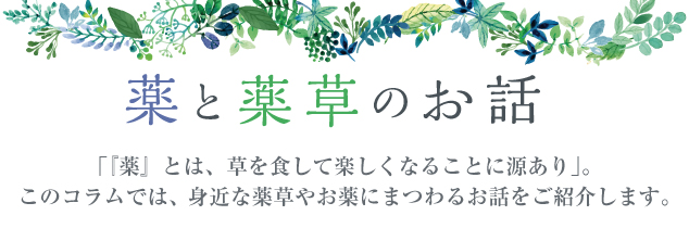 よみうりヘルスケア コンパニオン 笹川薬局 Vol 48 沢瀉 たくしゃ とサジオモダカ